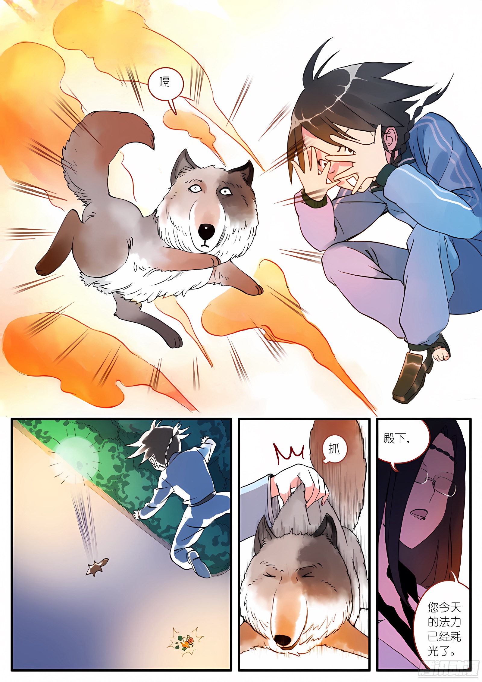 003