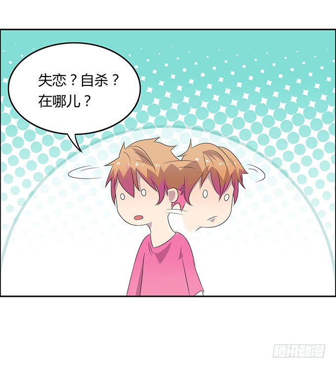 寻找小桃桃之旅