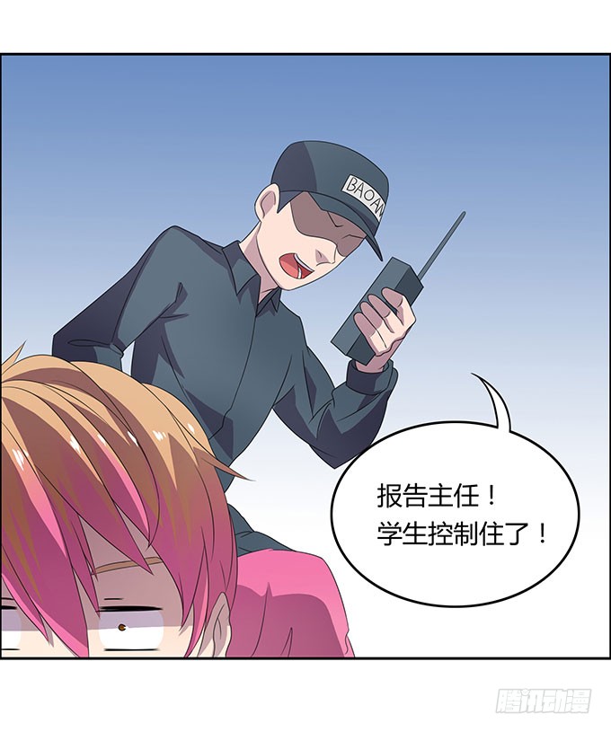 寻找小桃桃之旅