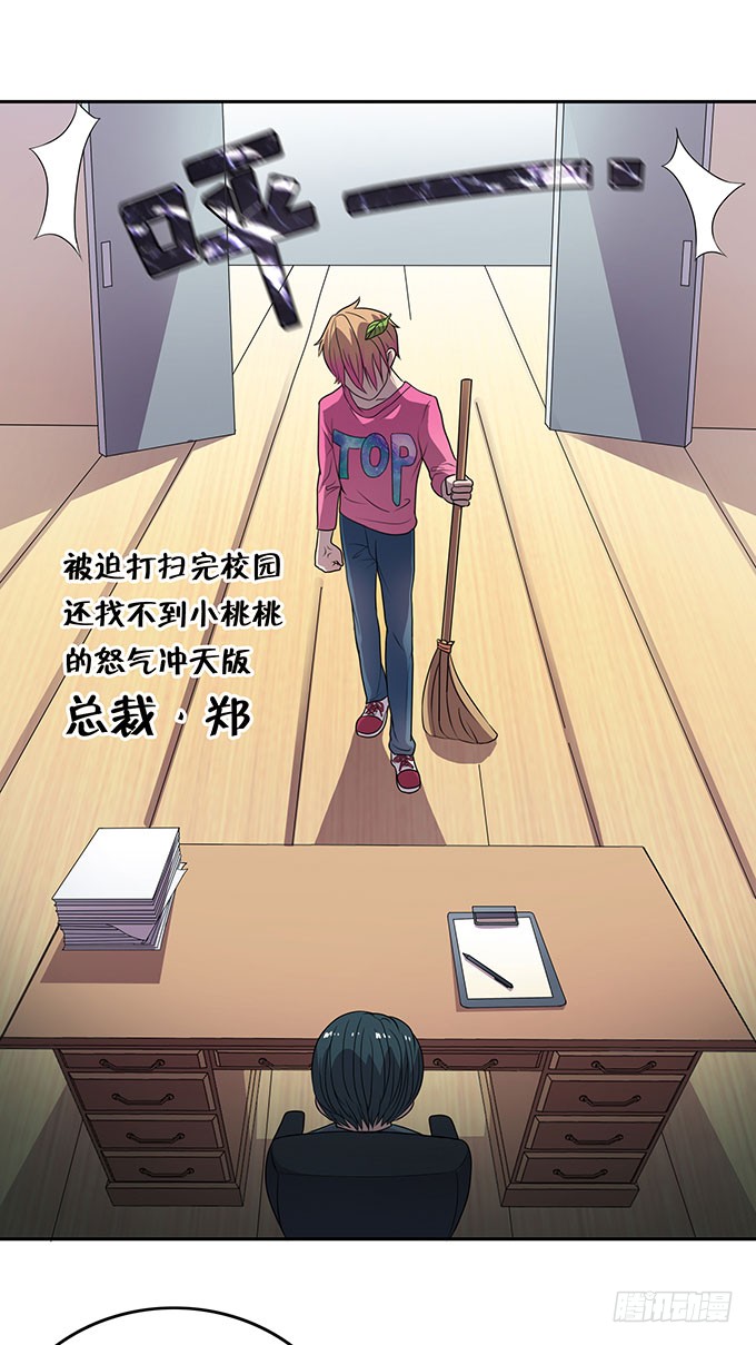 寻找小桃桃之旅