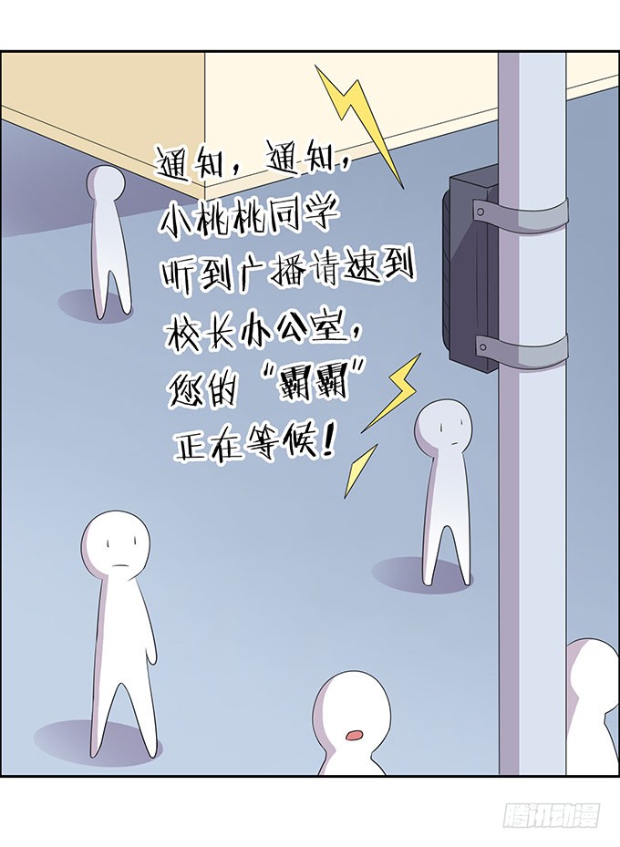 寻找小桃桃之旅