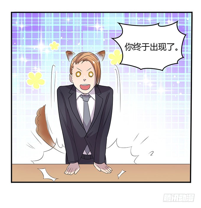 寻找小桃桃之旅