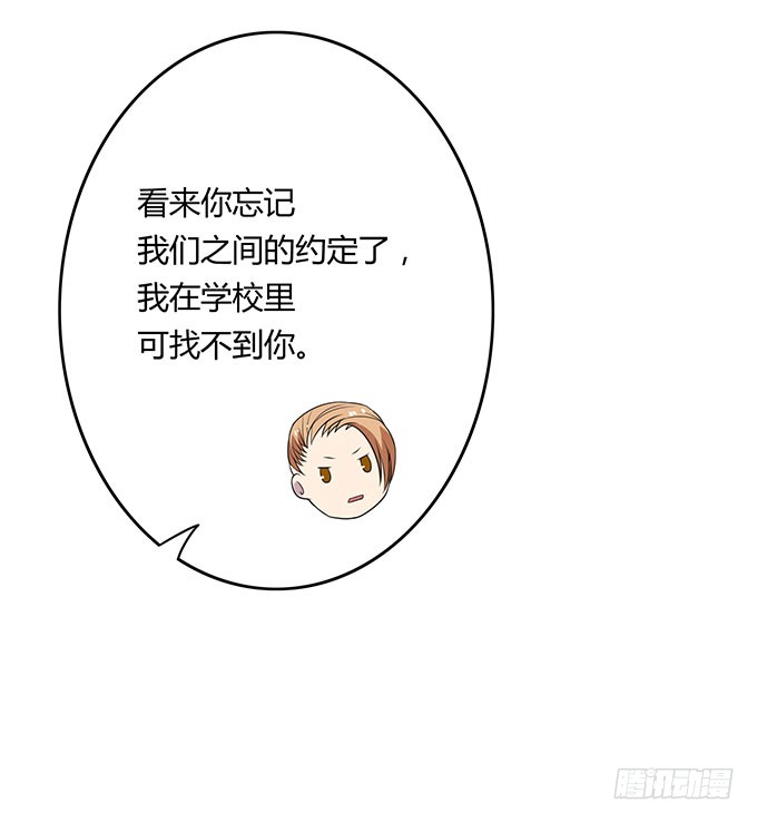 寻找小桃桃之旅