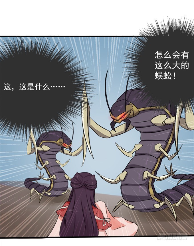 禁忌之森