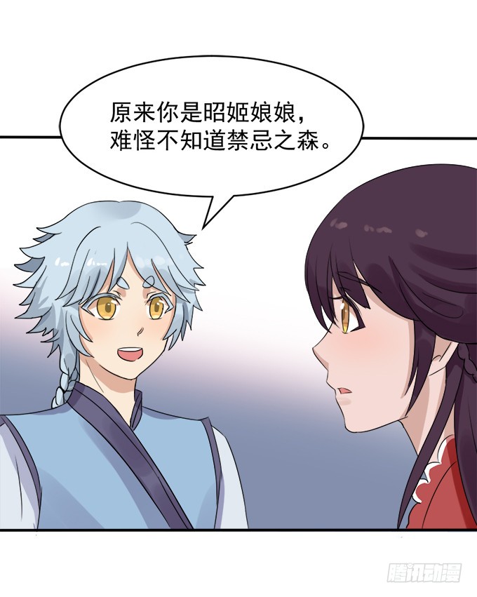 禁忌之森