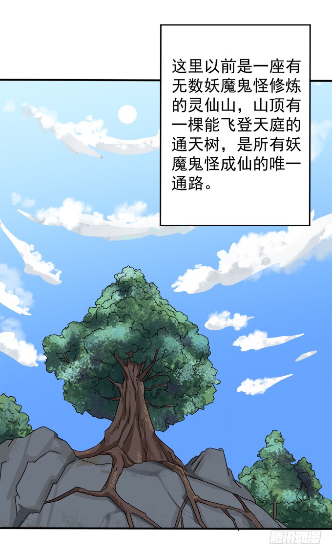 禁忌之森