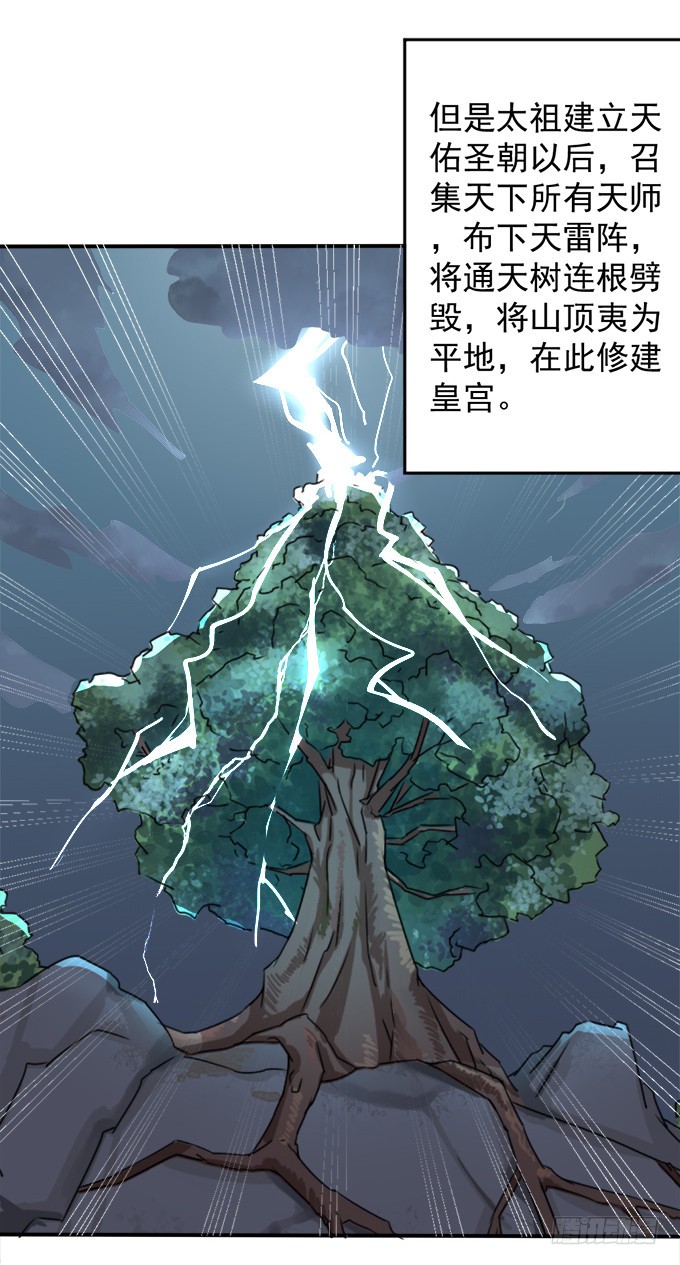 禁忌之森