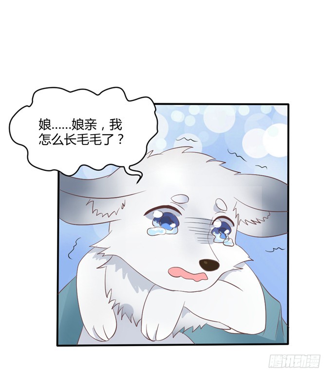 皇子化形