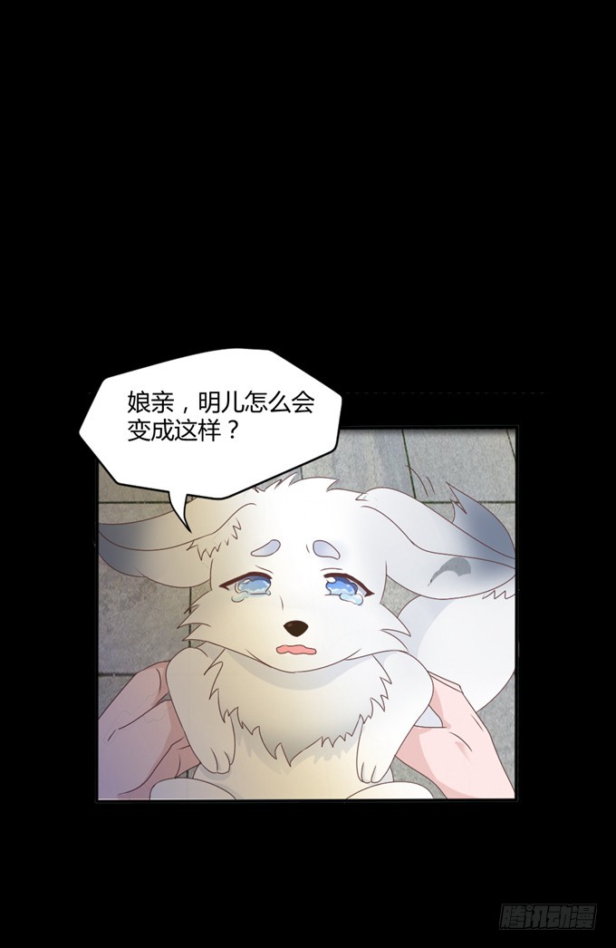 单独相见