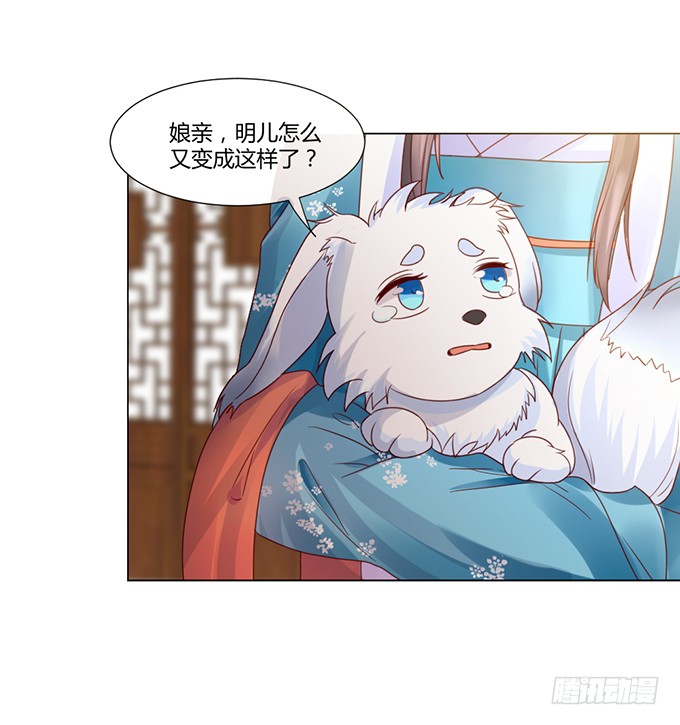 与君同房