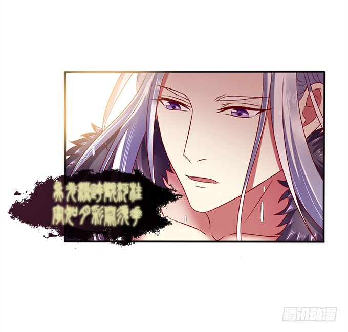 对决贵妃