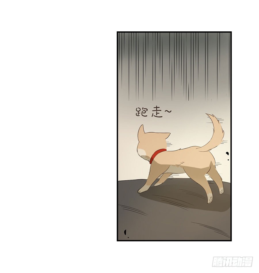 007：攻略目标是正太？！