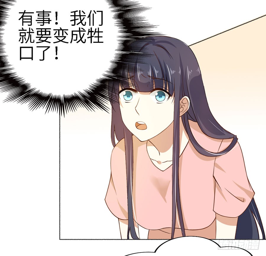 019：寻回