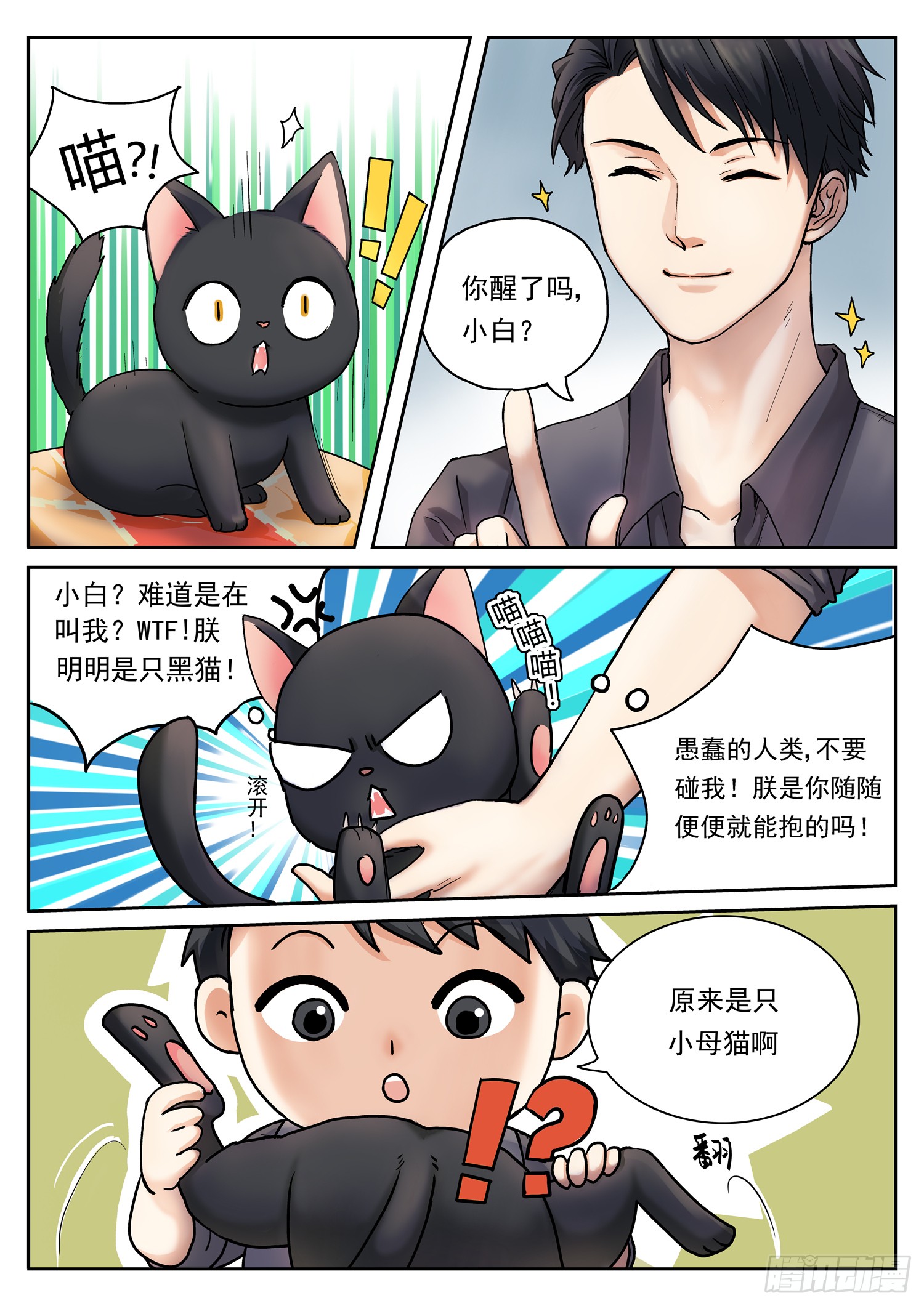 第二话 赐名小白