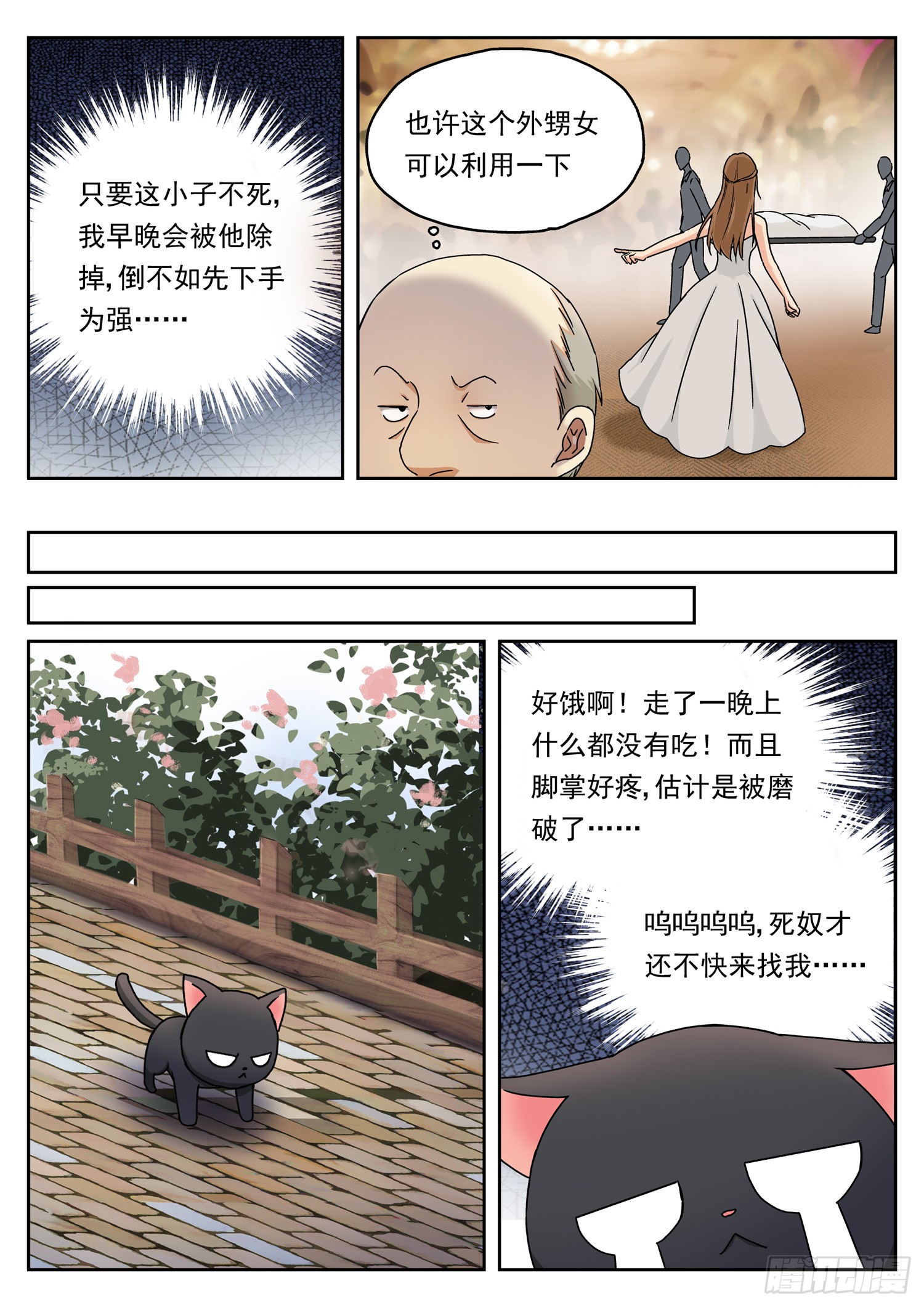 第十一话 小白流浪