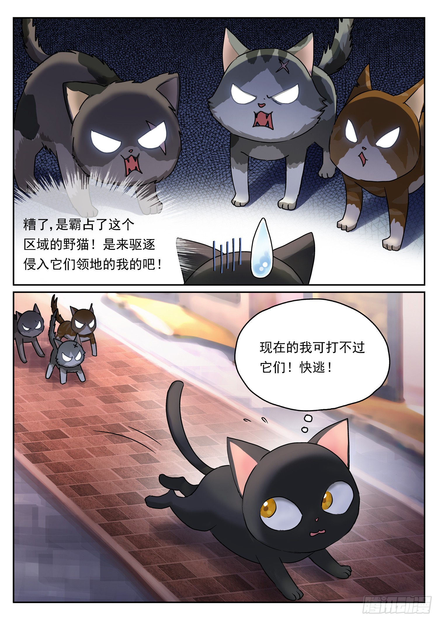 第十一话 小白流浪