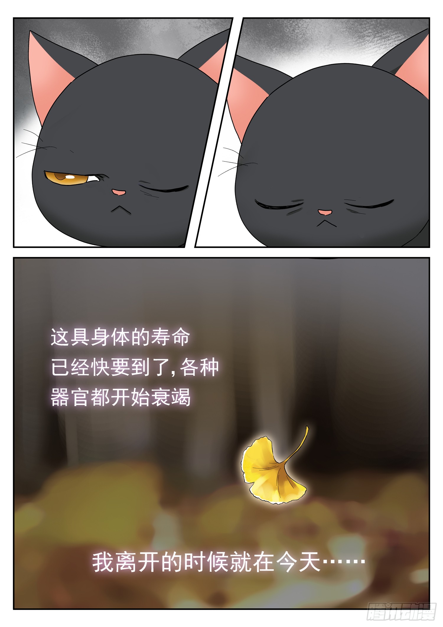 第二十八话 一起的时光