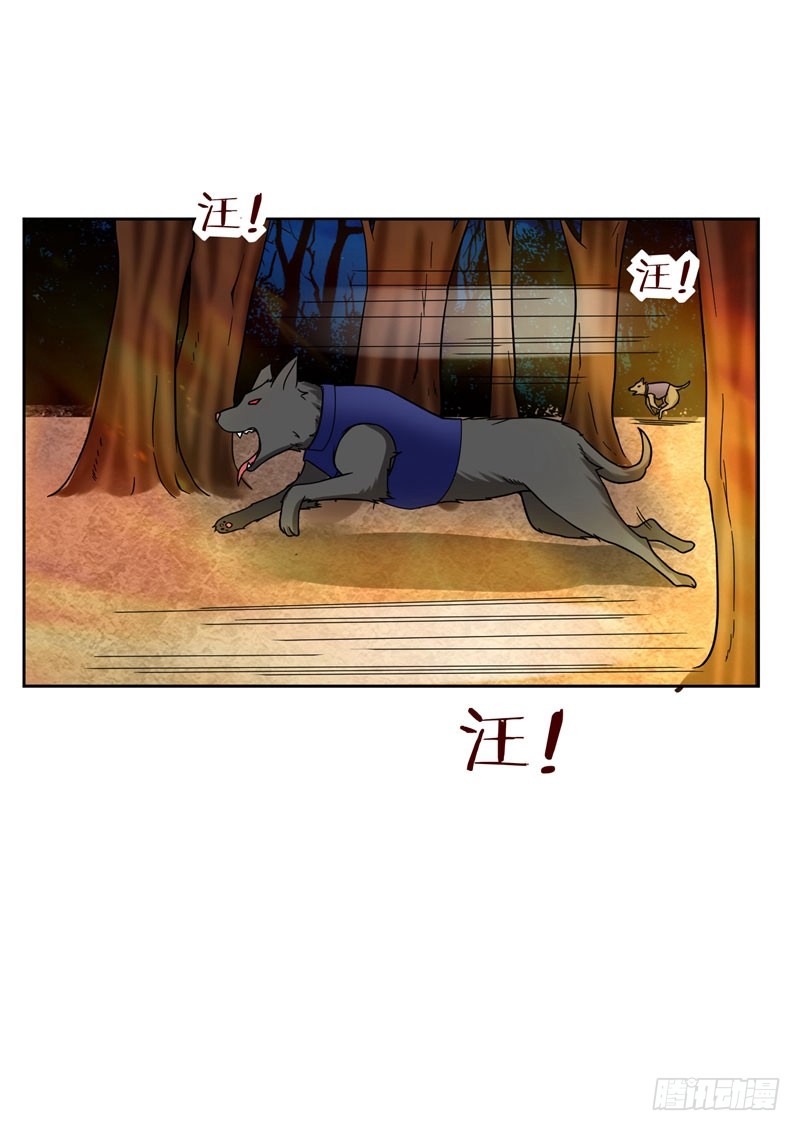 19 酒吧遇袭