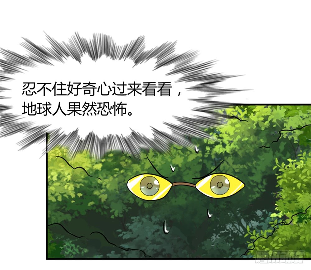 021修仙也不能打架呀
