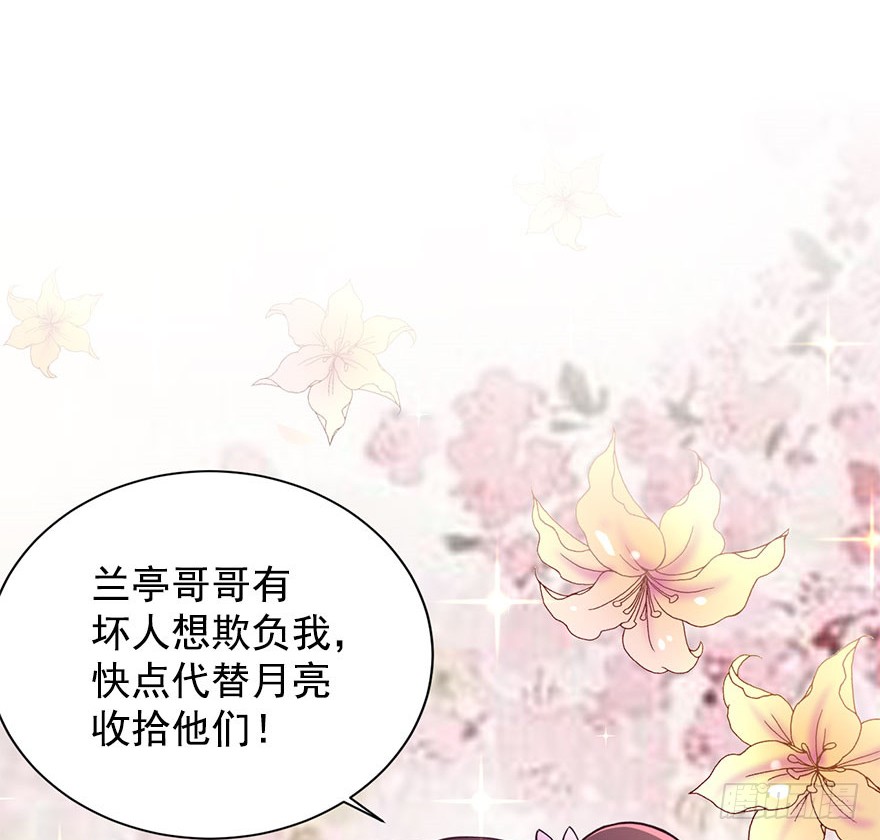 预告