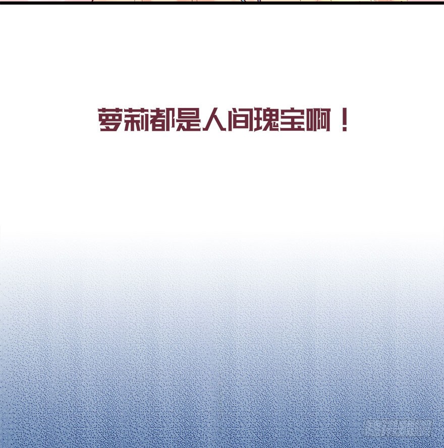 预告