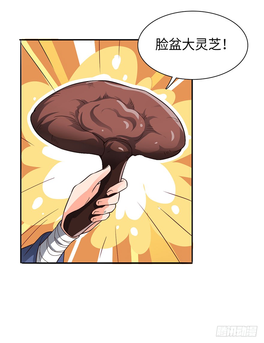 绝世仙丹
