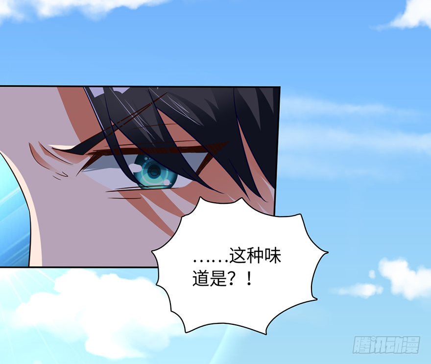始祖大红袍