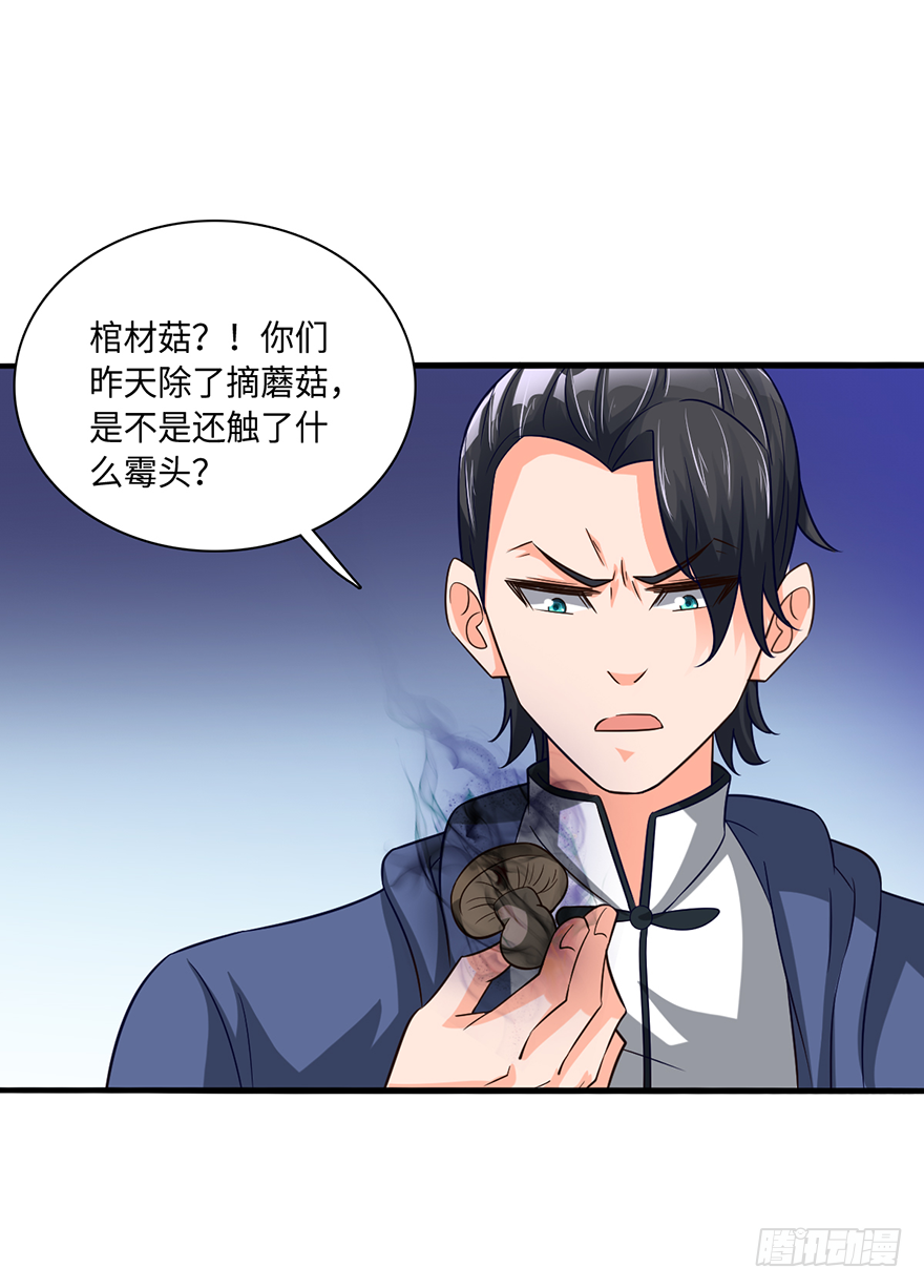 棺材菇