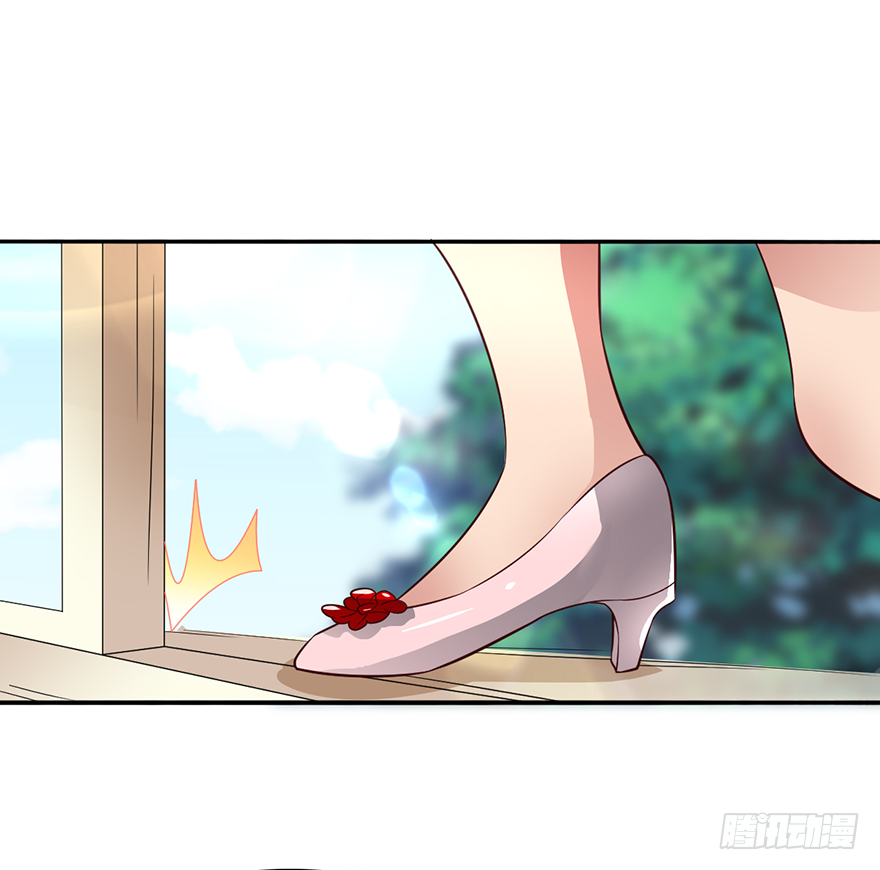 棺材菇
