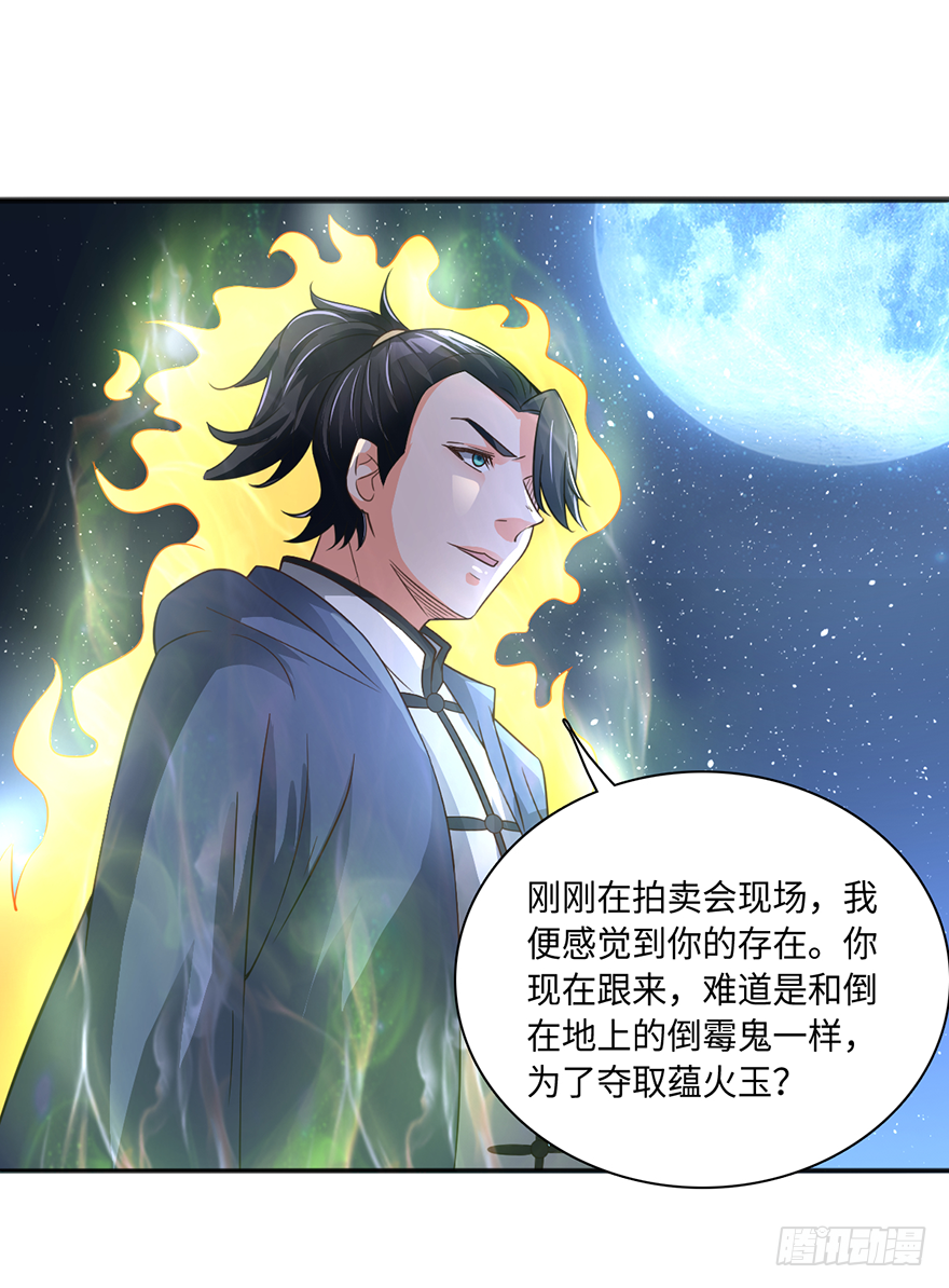 半步宗师风倾城