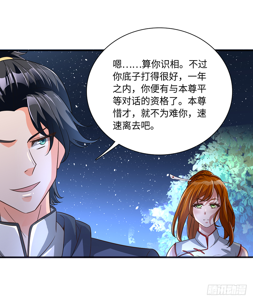 半步宗师风倾城