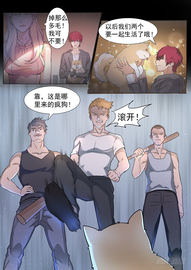 第二话 忠犬花卷