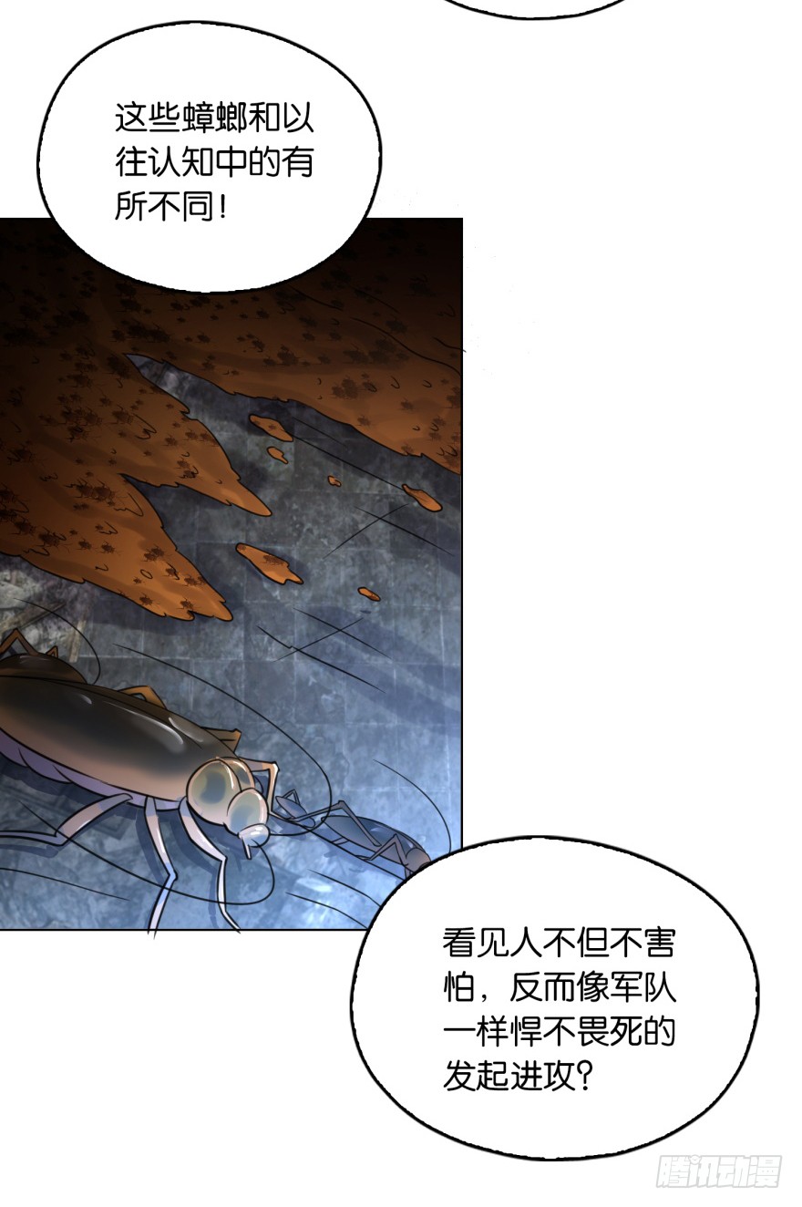 第4话 打蟑螂？