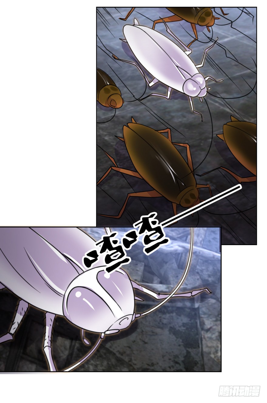 第4话 打蟑螂？