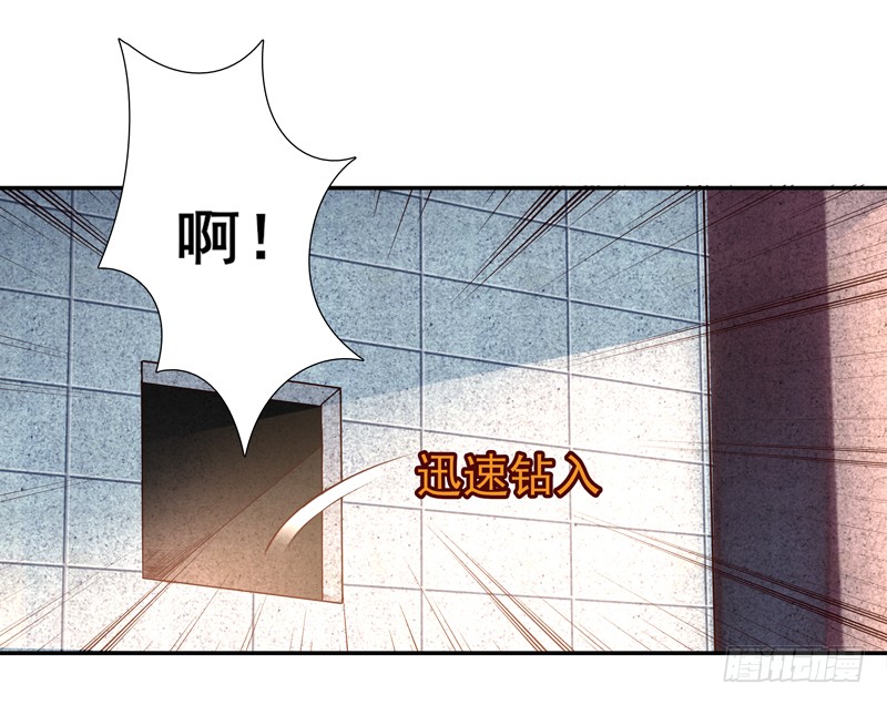 第15话 再遇女神