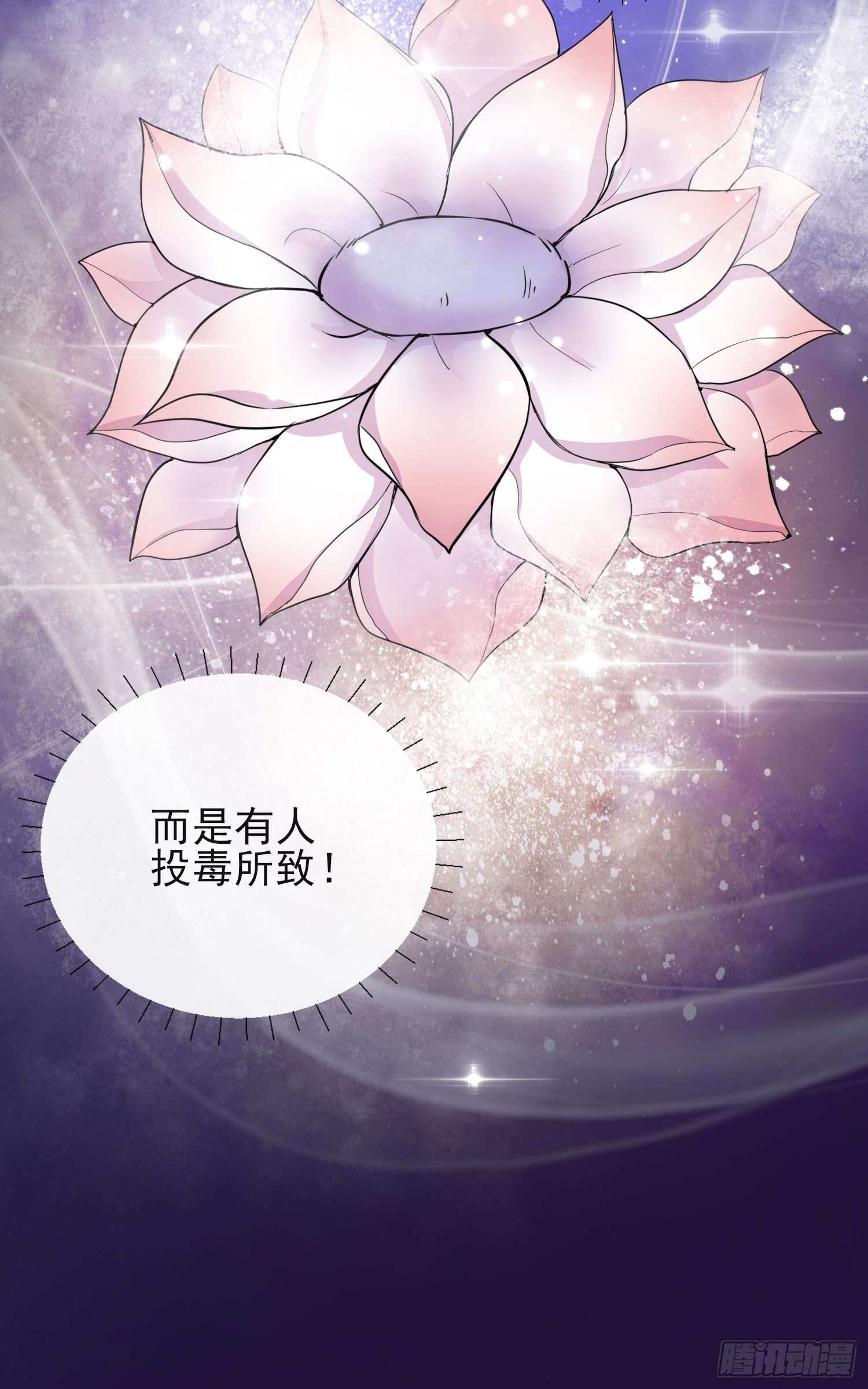 1.11重回美貌