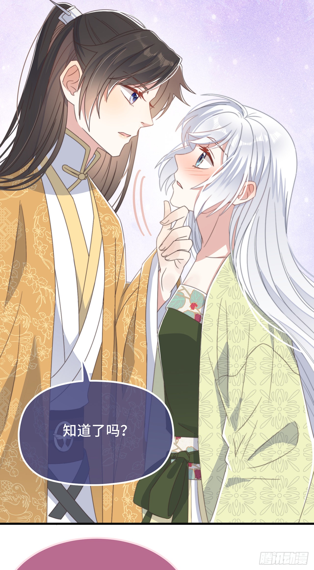 第28话 宣誓主权