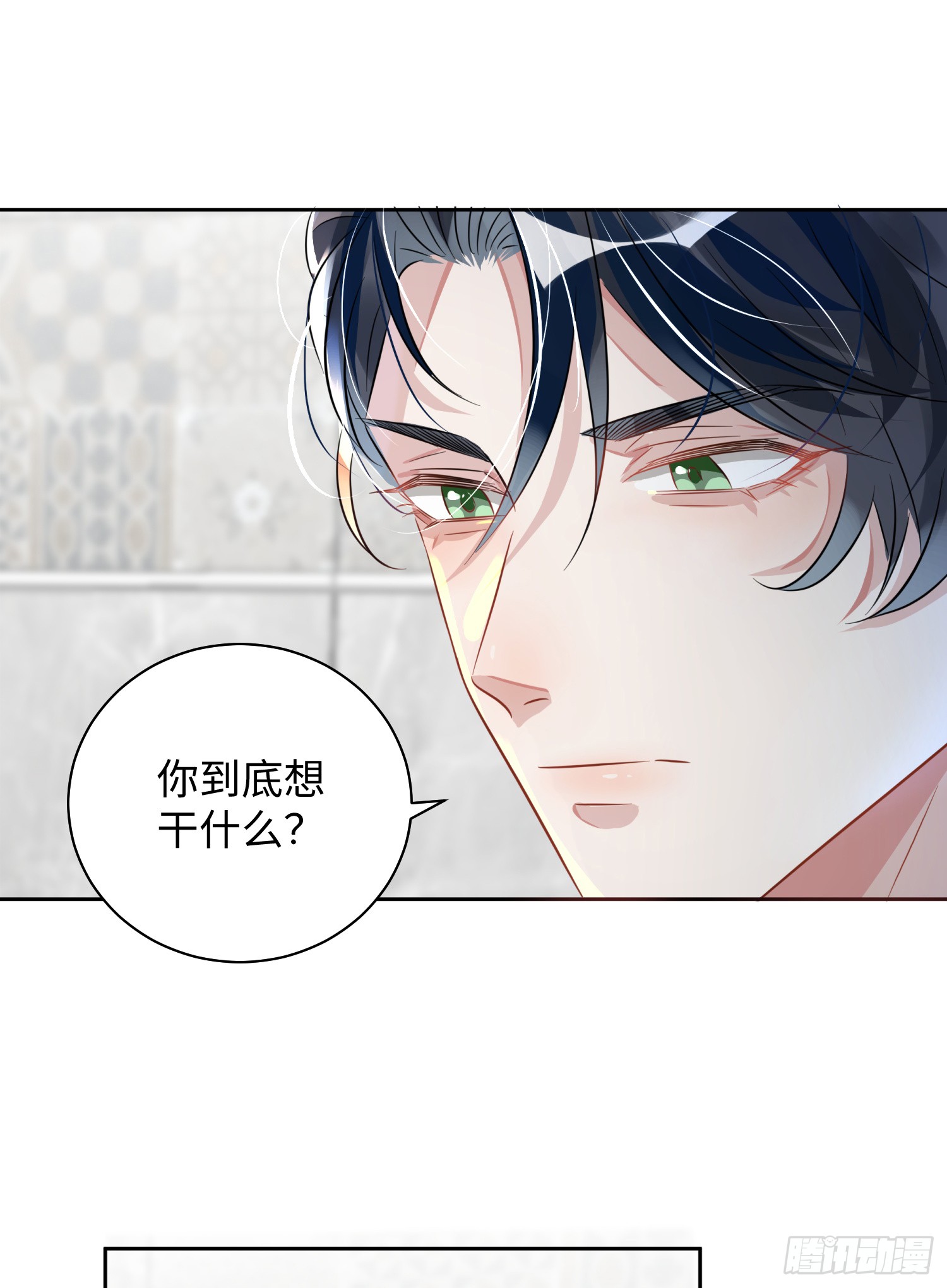 003  基佬偷你家鸡了？